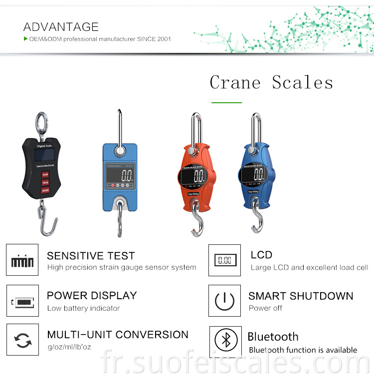 SF-918 Small Crane Scale Digital 300kg Electronic Mini Portable Crane suspendu peser l'échelle